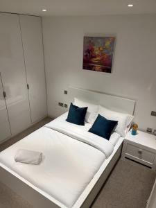 Beautiful 2 bed Flat in Finchley Road, Camden