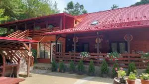 Cabana Alpha - Unguraş