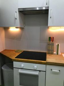 Stylish mini apartment in the center!
