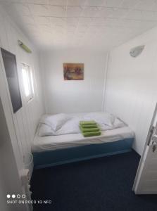 Pontonul lui Cristian