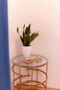 Studio 106 Apartment