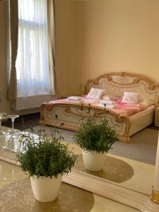 Apartmány vila Týniště