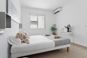 Sur Suites Atico Center