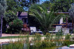 Entire Pool House at the Quinta