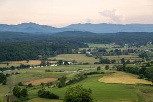 Vineyard cottage Jelenov hrib 