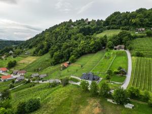 Vineyard cottage Jelenov hrib