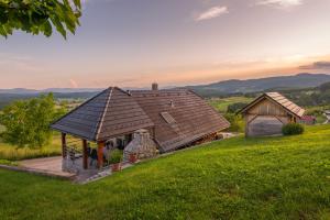 Vineyard cottage Jelenov hrib