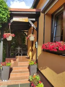 Domek i pokoje Wilkasy - Ryn