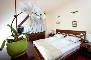 Pension Brasovu Vechi - Atias