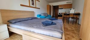 Apartma Luka with private parking