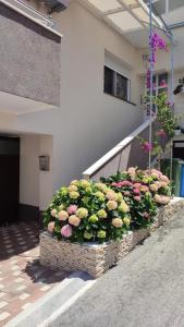 Apartment in Brodarica with sea view, balcony, air conditioning, WiFi 5183-2