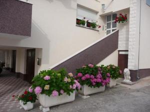 Apartment in Brodarica with sea view, balcony, air conditioning, WiFi 5183-2