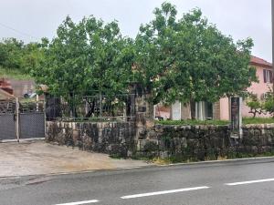 Apartments Stankovic & Boat tours