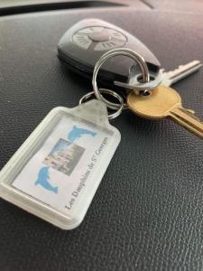 SAINT GEORGES DE DIDONNE Baie de l océan les dauphins