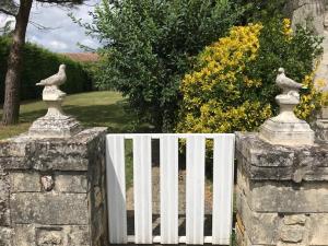 Villas Maison ancienne avec piscine au milieu des vignes : photos des chambres