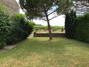 Villas Maison ancienne avec piscine au milieu des vignes : photos des chambres