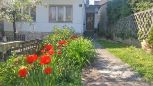 Apartment Aby 