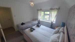 6 Bedroom Huge Holiday Home with parking