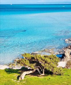 Bellavista Stintino img4