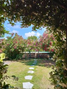Maisons de vacances Maison de 2 chambres avec piscine privee jardin clos et wifi a Maillane : photos des chambres