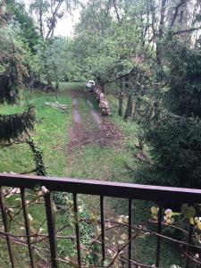 La casa nel bosco - Brione