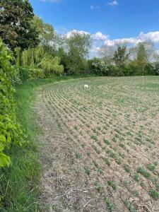 Totally Private, idyllic House with hot tub in an acre of private gardens