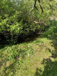 Totally Private, idyllic House with hot tub in an acre of private gardens