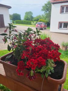 Agroturystyka Nad strumykiem