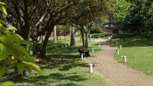 Barra Olímpica Apart Flat