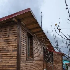 Casa CeDar - Băniţa