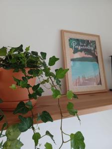 Appartements Le Balcon, vue panoramique au Faron : photos des chambres