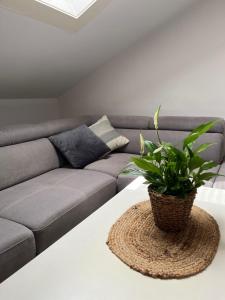 Seaside House Dragica