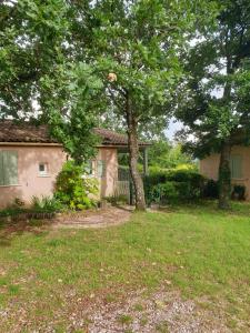 Maisons de vacances Le Clos des Mimosas : photos des chambres