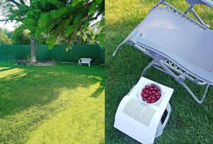 Private House with Garden