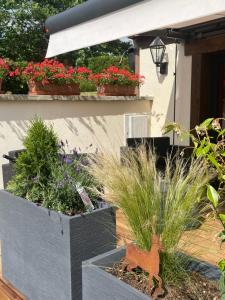 Appartements Gite de Montagne 