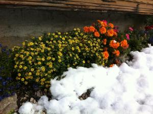 Residence Villa Toni