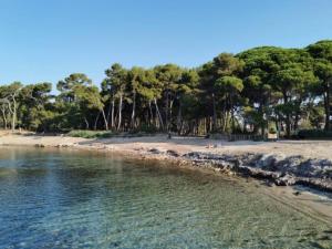 Appartements jardin plage avec 2 paddles, du calme et de l'ombre : photos des chambres