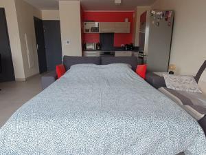 Appartements Superbe appart. duplex plein sud : photos des chambres