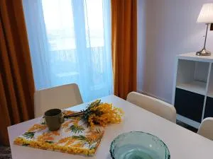 Mimosa Home - Pepino