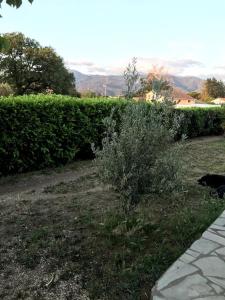 Villas Maison familiale pres de la mer : photos des chambres