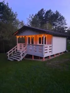 Atpūta pie upītes - 维萨吉纳斯