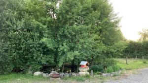 Appartements T3 sur fermette avec les animaux : photos des chambres