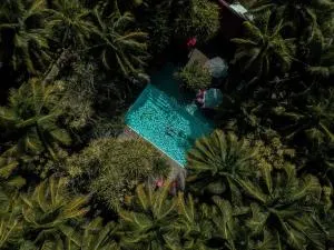 ABEZZA Resort And Adventure Spa - Crooked Tree