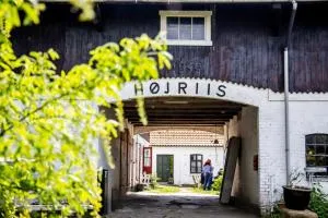Højriisgaard B & B - Østerby