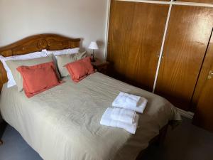 Departamento General Acha