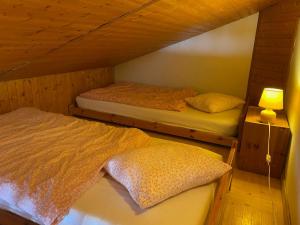 Appartement spacieux avec mezzanine près du centre de Châtel - FR-1-693-58