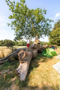 Campings Camping La Bergerie : photos des chambres