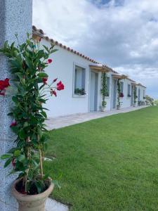 Tenuta Paltusa img31