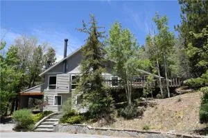Cozy Bear Chateau -Beautiful Moonridge home nestled in the pines and birches - Moonridge