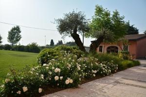 Agriturismo Corte Morandini